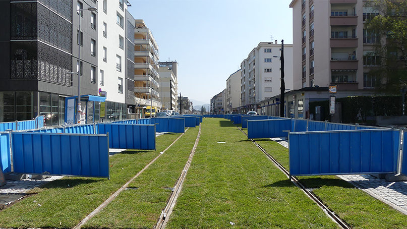 Gazon rue de Genève